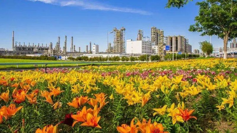 复合材料防水与卷材：性能对比与选择要点